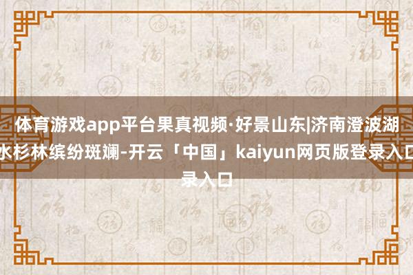体育游戏app平台果真视频·好景山东|济南澄波湖水杉林缤纷斑斓-开云「中国」kaiyun网页版登录入口